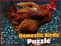https://a8play.com/game/domestic-birds-puzzle