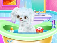 https://a8play.com/game/my-new-poodle-friend