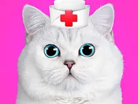 https://a8play.com/game/cat-pet-doctor-dentist