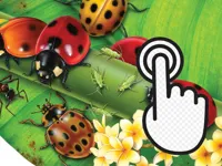 https://a8play.com/game/ladybug-clicker