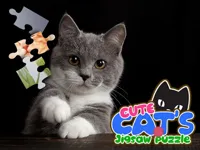https://a8play.com/game/cute-cats-jigsaw-puzzle