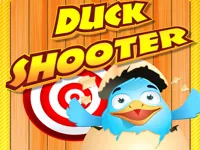 https://a8play.com/game/duck-shooter
