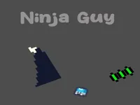 https://a8play.com/game/ninja-guy