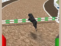 https://a8play.com/game/crazy-real-dog-race