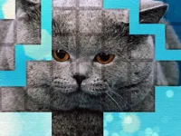 https://a8play.com/game/picpu-cat-puzzle