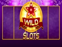 https://a8play.com/game/wild-slot