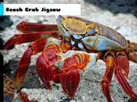 https://a8play.com/game/beach-crab-jigsaw