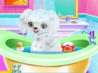 https://a8play.com/game/my-new-poodle-friend-pet-care-game