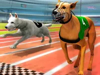 https://a8play.com/game/dogs3d-races