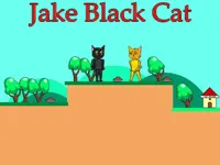 https://a8play.com/game/jake-black-cat