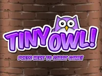 https://a8play.com/game/tiny-owl