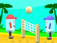 https://a8play.com/game/beach-volleyball
