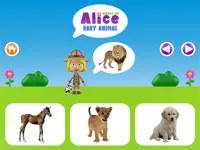 https://a8play.com/game/world-of-alice-baby-animal