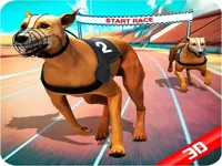 https://a8play.com/game/crazy-dog-race
